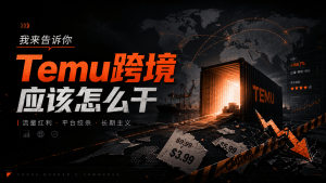 我来告诉你Temu跨境应该怎么干:流量红利、平台绞杀、长期主义。