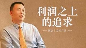 一名身穿衬衫领带的男子肖像,右侧配有文字:利润之上的追求——概念 | 分析方法